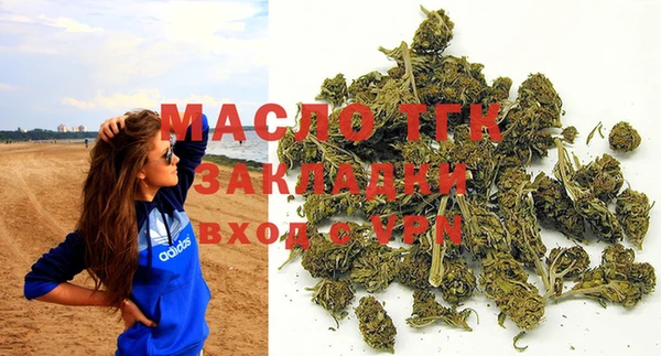 индика Снежинск