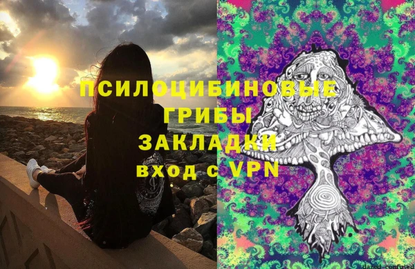 mdma Заводоуковск