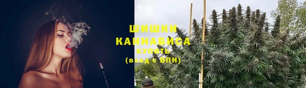 ПСИЛОЦИБИНОВЫЕ ГРИБЫ Слюдянка