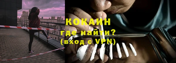 индика Снежинск