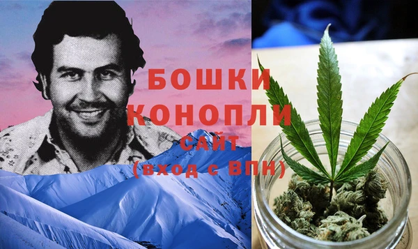 ПСИЛОЦИБИНОВЫЕ ГРИБЫ Слюдянка