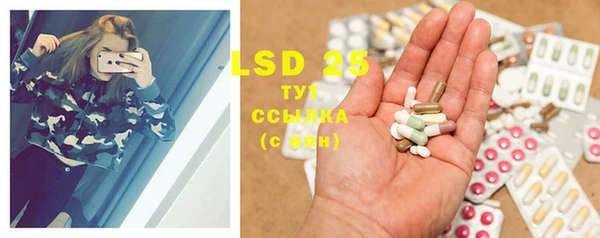 PSILOCYBIN Снежногорск