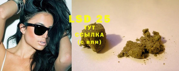 PSILOCYBIN Снежногорск