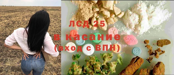 ПСИЛОЦИБИНОВЫЕ ГРИБЫ Слюдянка