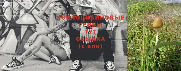 индика Снежинск