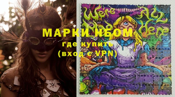 индика Снежинск