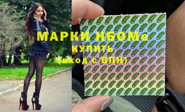 индика Снежинск