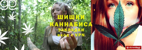 индика Снежинск
