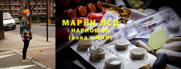 индика Снежинск