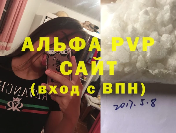 индика Снежинск