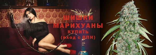 PSILOCYBIN Снежногорск