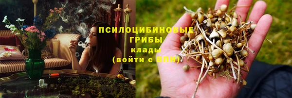 ПСИЛОЦИБИНОВЫЕ ГРИБЫ Слюдянка