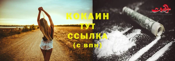 ПСИЛОЦИБИНОВЫЕ ГРИБЫ Слюдянка